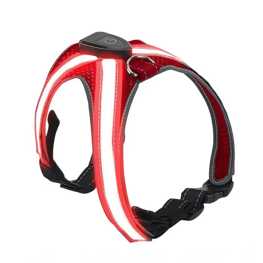 LED Rechargeable Harness