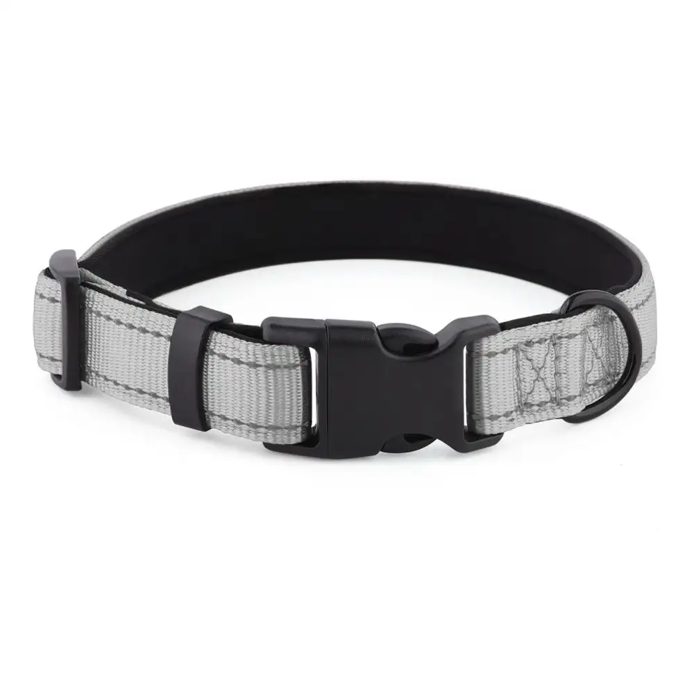 Neoprene Padded Dog Collar Purple