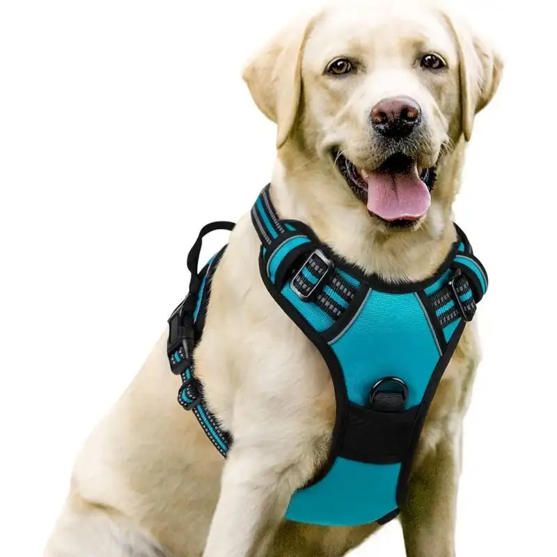 No Pull Oxford Dog Harness